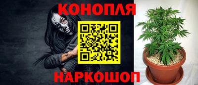 ешки Будённовск