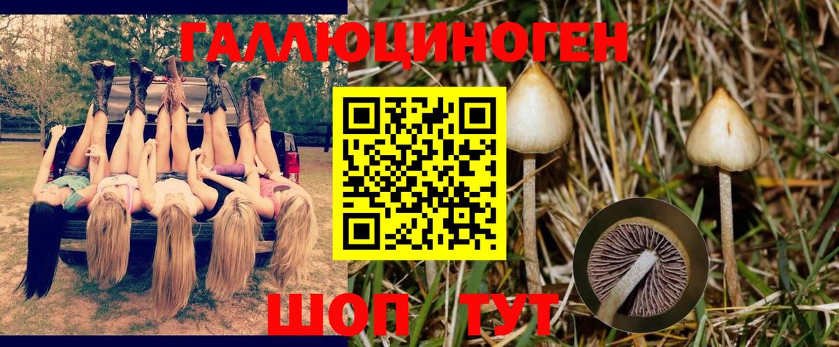 Галлюциногенные грибы мицелий Назрань