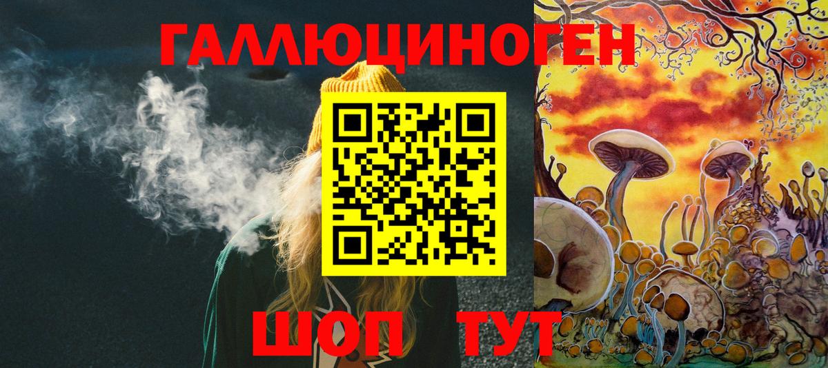купить наркотики цена  Вход с VPN  Назрань  Псилоцибиновые грибы MAGIC MUSHROOMS 